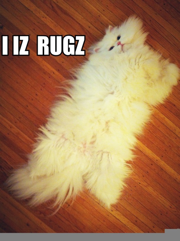 This iz for your floor