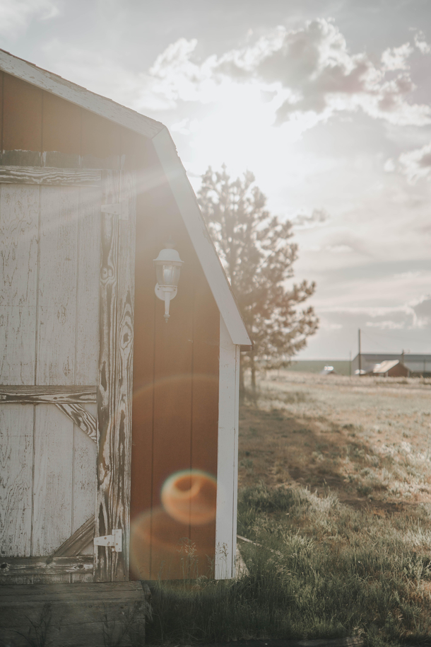 This Jack Skellington lens flair that showed up in my photo 