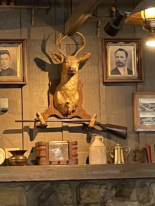 This judgmental deer at Cracker Barrel