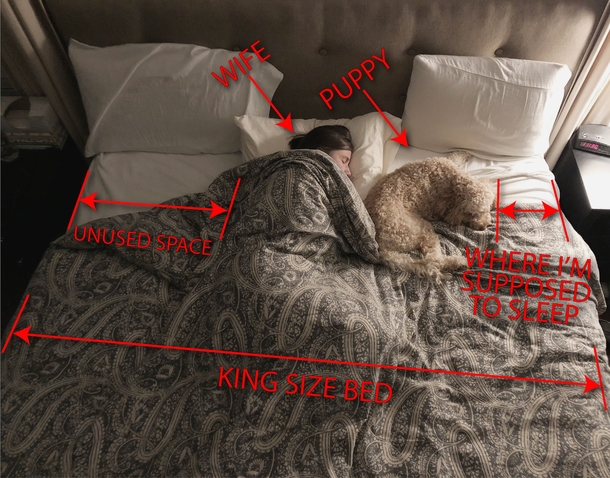This king size bed keeps getting smaller and smaller