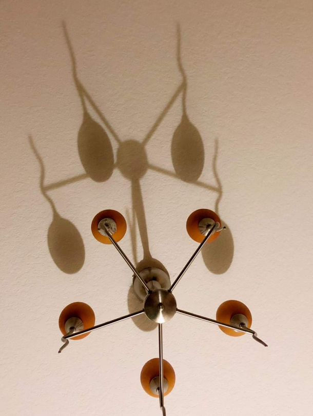 This light fixture