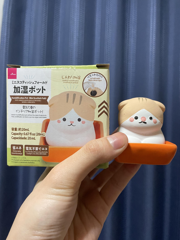 This little cat has seen better daysloving the round button nose