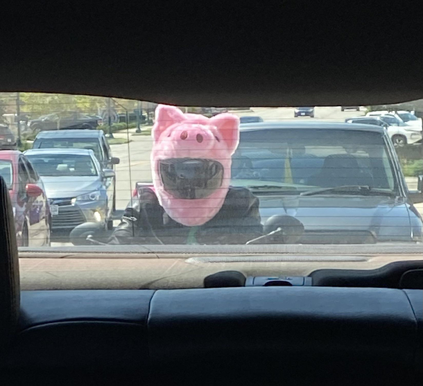 This little piggy went to the market