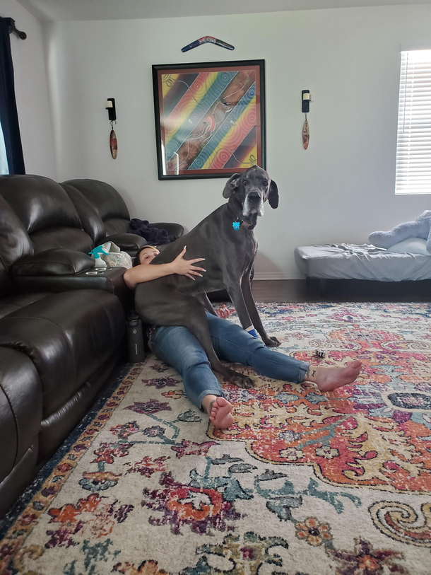 This looks like a comfortable place to sit