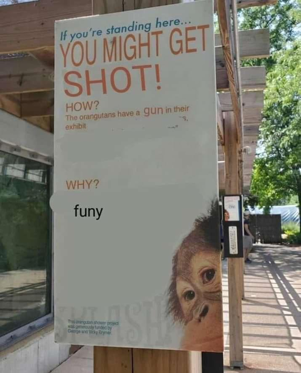 This looks like a fun zoo