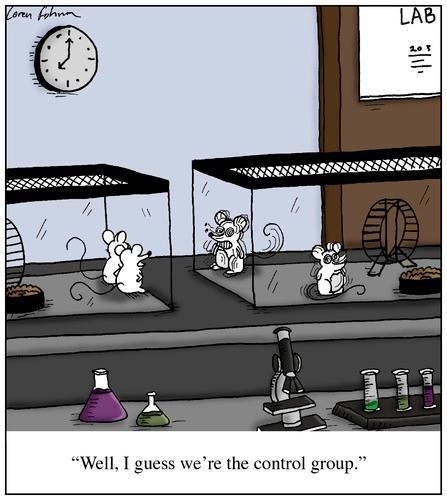 This made me laugh