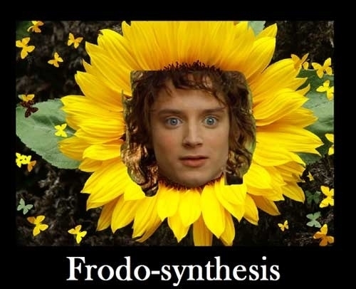 This made me laugh more than it should