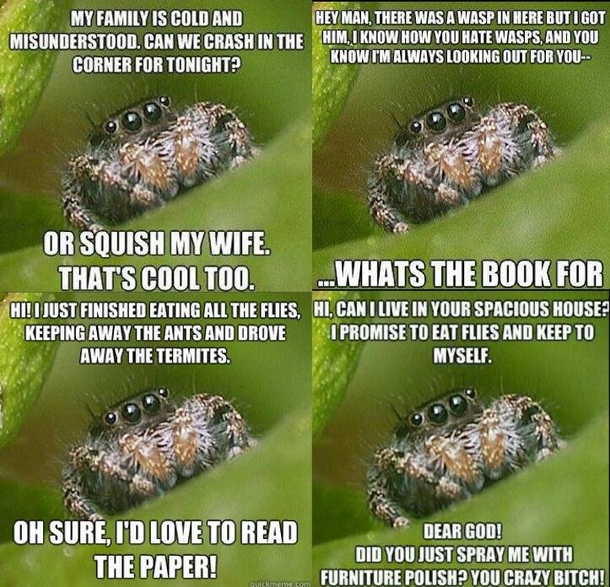 This made me rethink thingsfor about  seconds