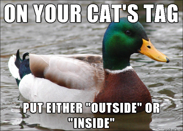 This makes it so much easier if we find your cat out and about and dont know if its escaped or not