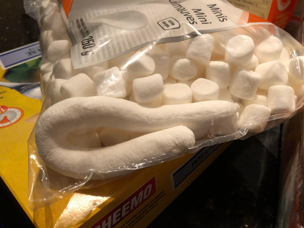 This massive marshmallow tube