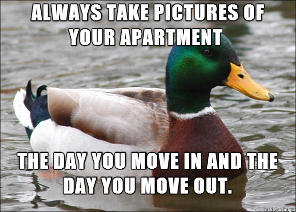 This may save a lot of time stress and money in the future