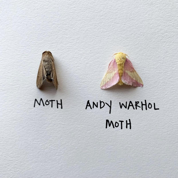 This might be too artsy for you to understand both moths died of natural causes