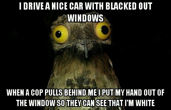 This might seem oddly racist but I think it helps keep me from getting pulled over
