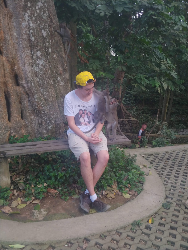 This monkey getting super upset at her baby for climbing on me