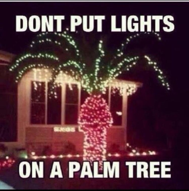 This palm tree is interesting