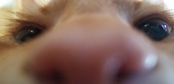 This person tried to unlock your phone