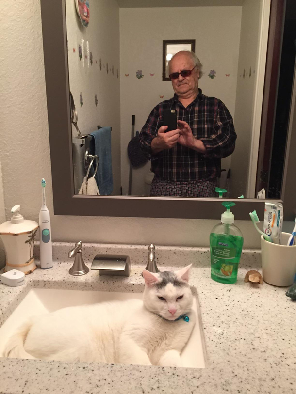 This photo on my grandpas phone vibing with the cat