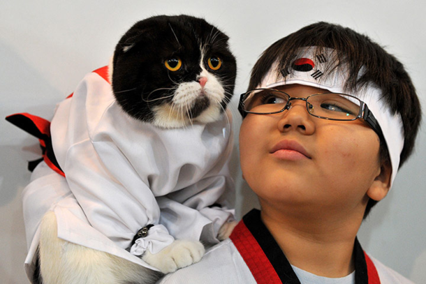 This picture is awesome and I dont know which subreddit to post it in