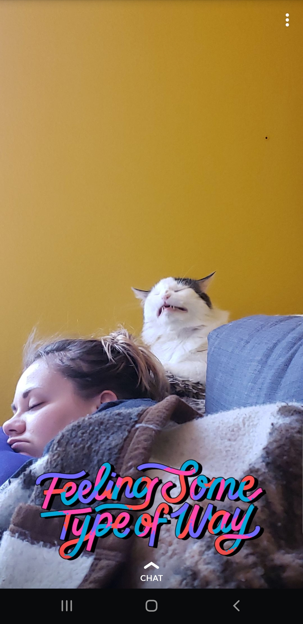 This picture my boyfriend caught of me and my cat sleeping