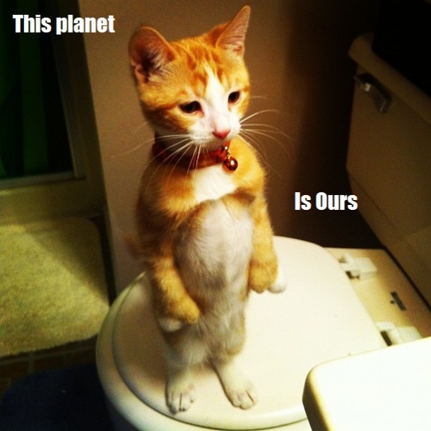 This PlanetMine