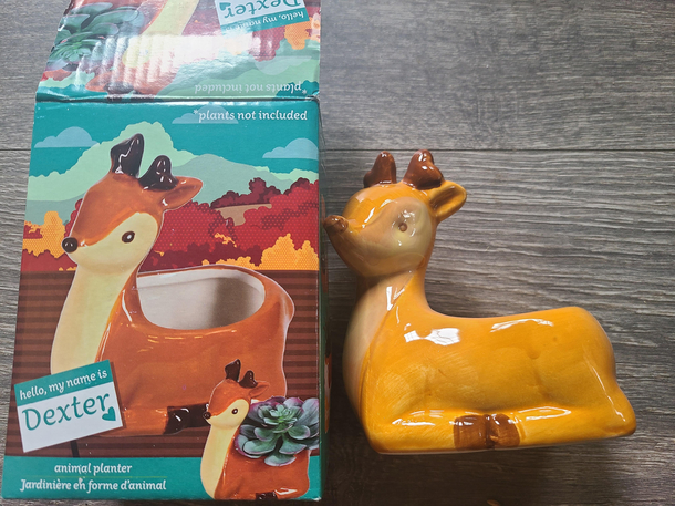 This planter I got for Christmas