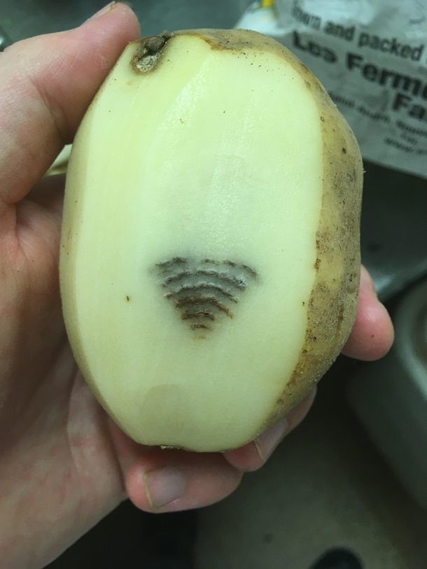 This potato at my work gets better Wi-Fi than I do