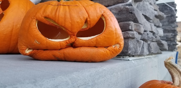 This pumpkin is my spirit animal