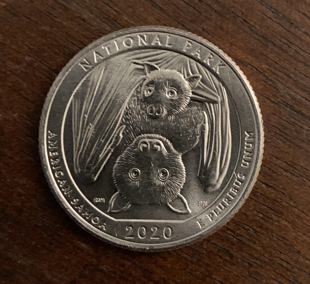 This  quarter They Knew