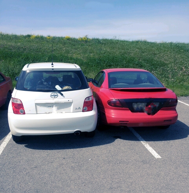 This red car parks directly over the line every day It just became a matter of principle