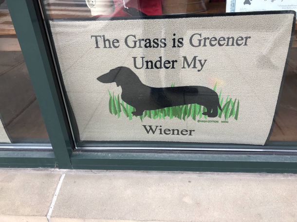 This rug at a pet store