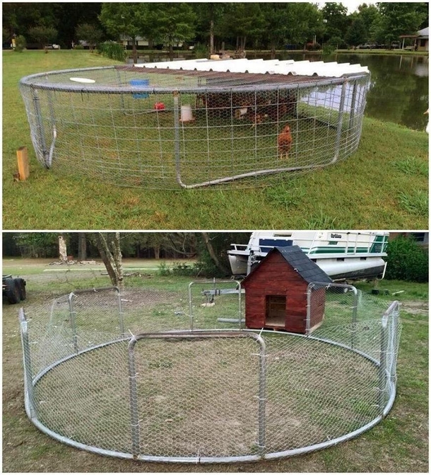 This said How to make a trampoline into a chicken coop If you could teach me how to make a chicken coop into a trampoline Then you have my full attention