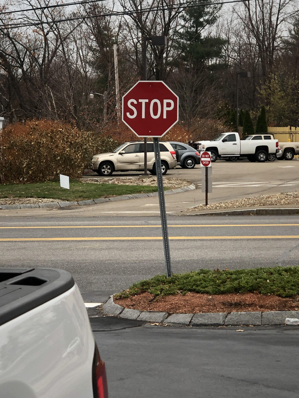 This Sassy Stop Sign is Sassing Me