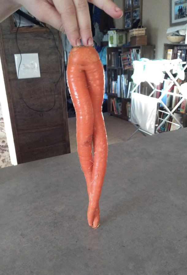 This scandalous carrot my brother found