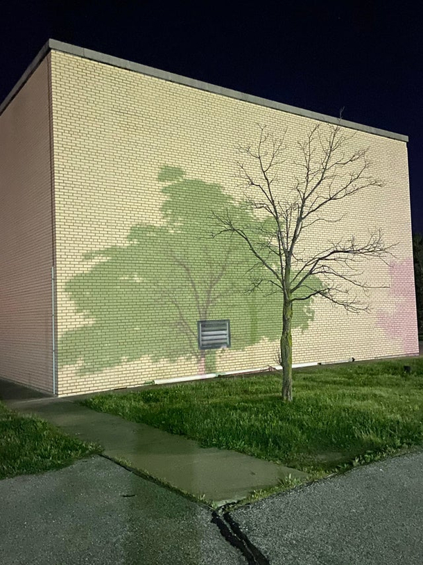 This shadow from two different trees in my parking lot