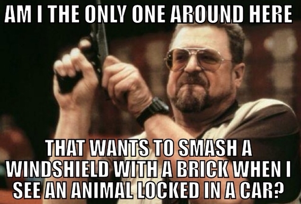 This shit pisses me off Its  degrees out here
