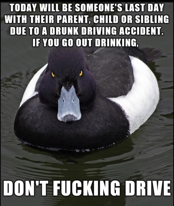 This shouldnt have to be said but stupid people still do it everyday