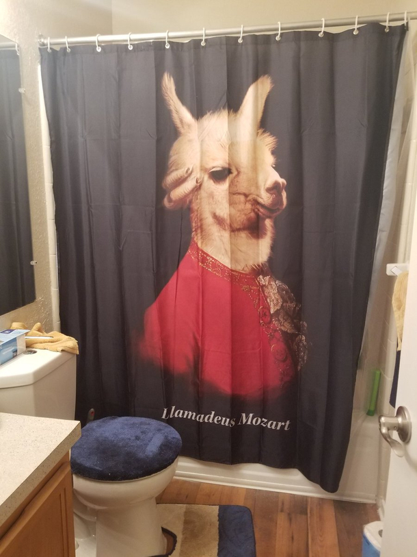 This shower curtain