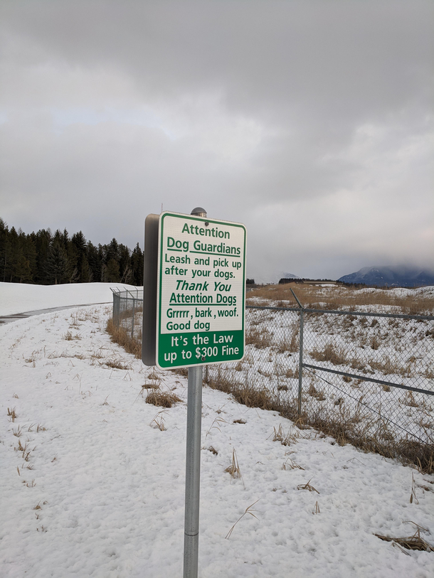 This sign in my town