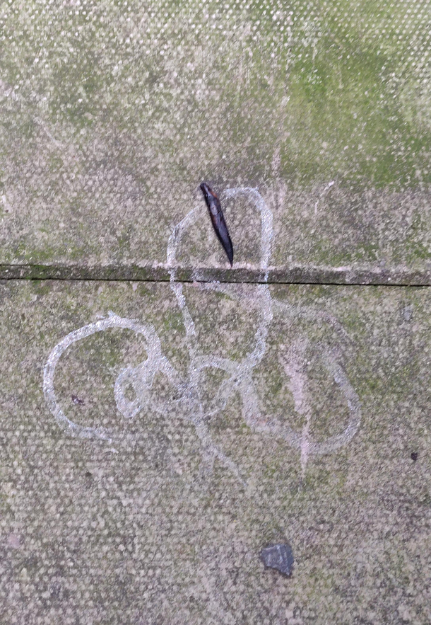 This slug literally drew a penis beside my house