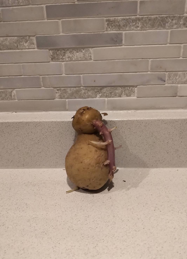 This smooth jazz playing potato