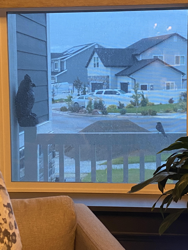 This standoff on my porch