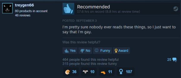 This Steam review really puts everything on the table