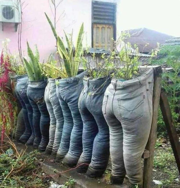 This suggestion I received when researching backyard decor