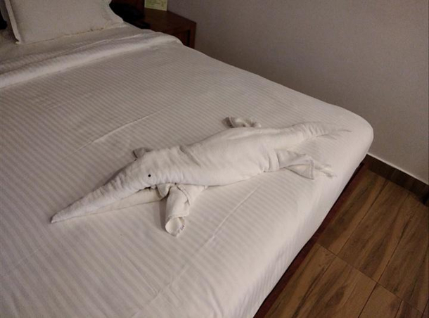 This towel animal in a hotel I visited