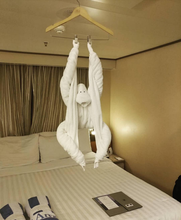 This towel monkey in a cruise ship