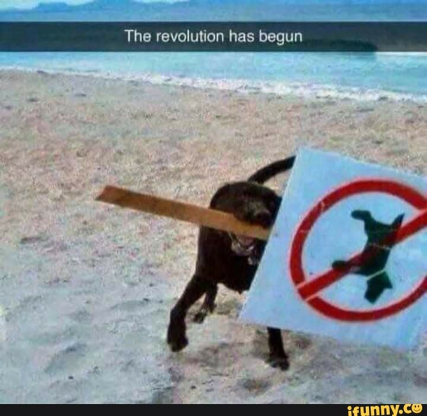 This war will make history