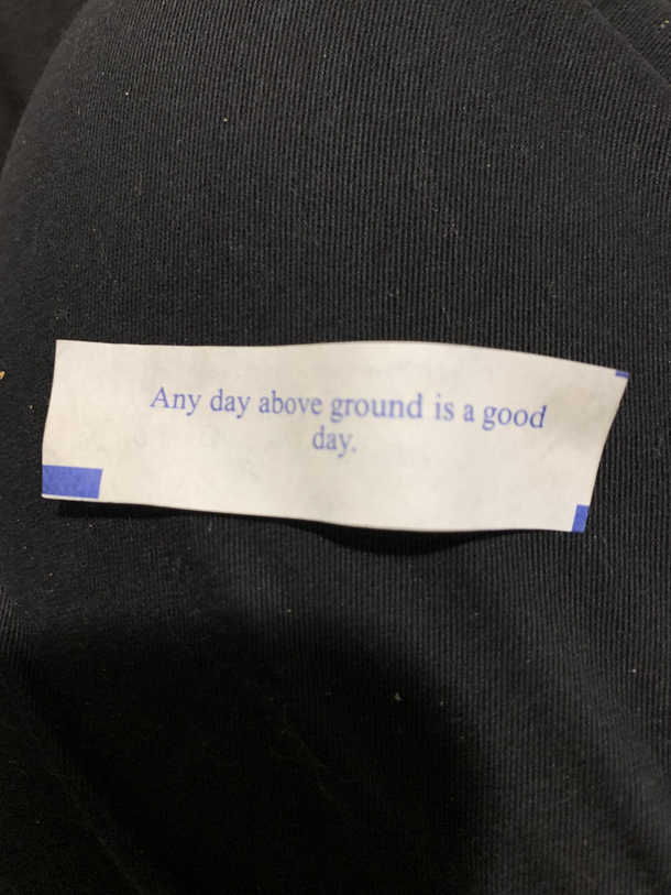 This was my fortune