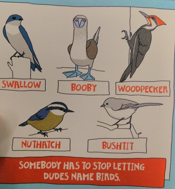 This was on a birthday card 