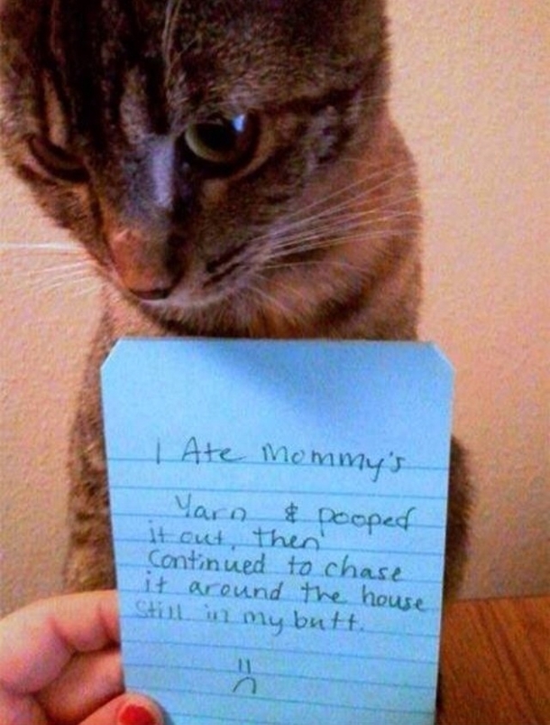 This was on my Facebook news feed I laughed more than I should have Had to share