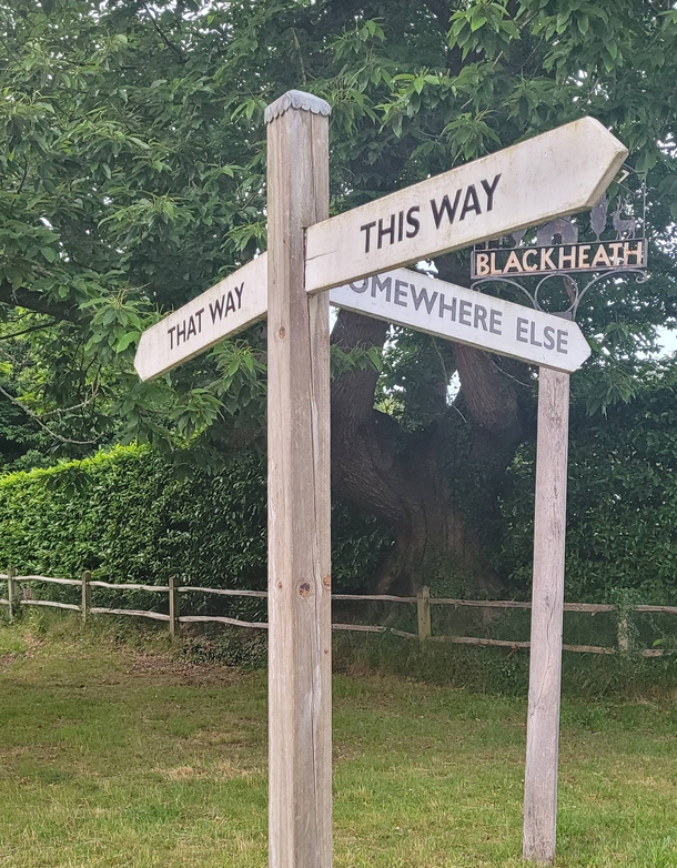 This Way That Way or Somewhere Else